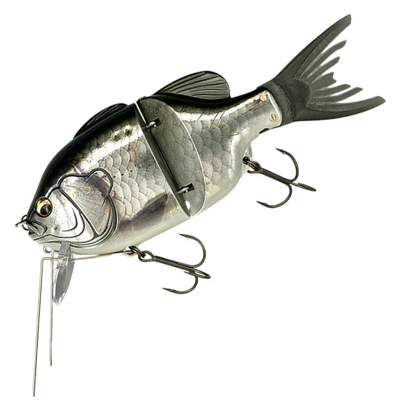 Imakatsu Gillroud Jr.Dive