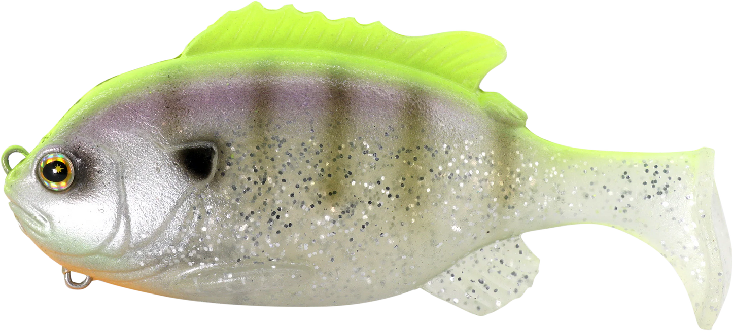Union Gill Swimmer 95
