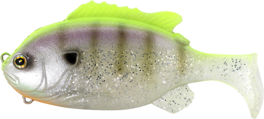 Union Gill Swimmer 95