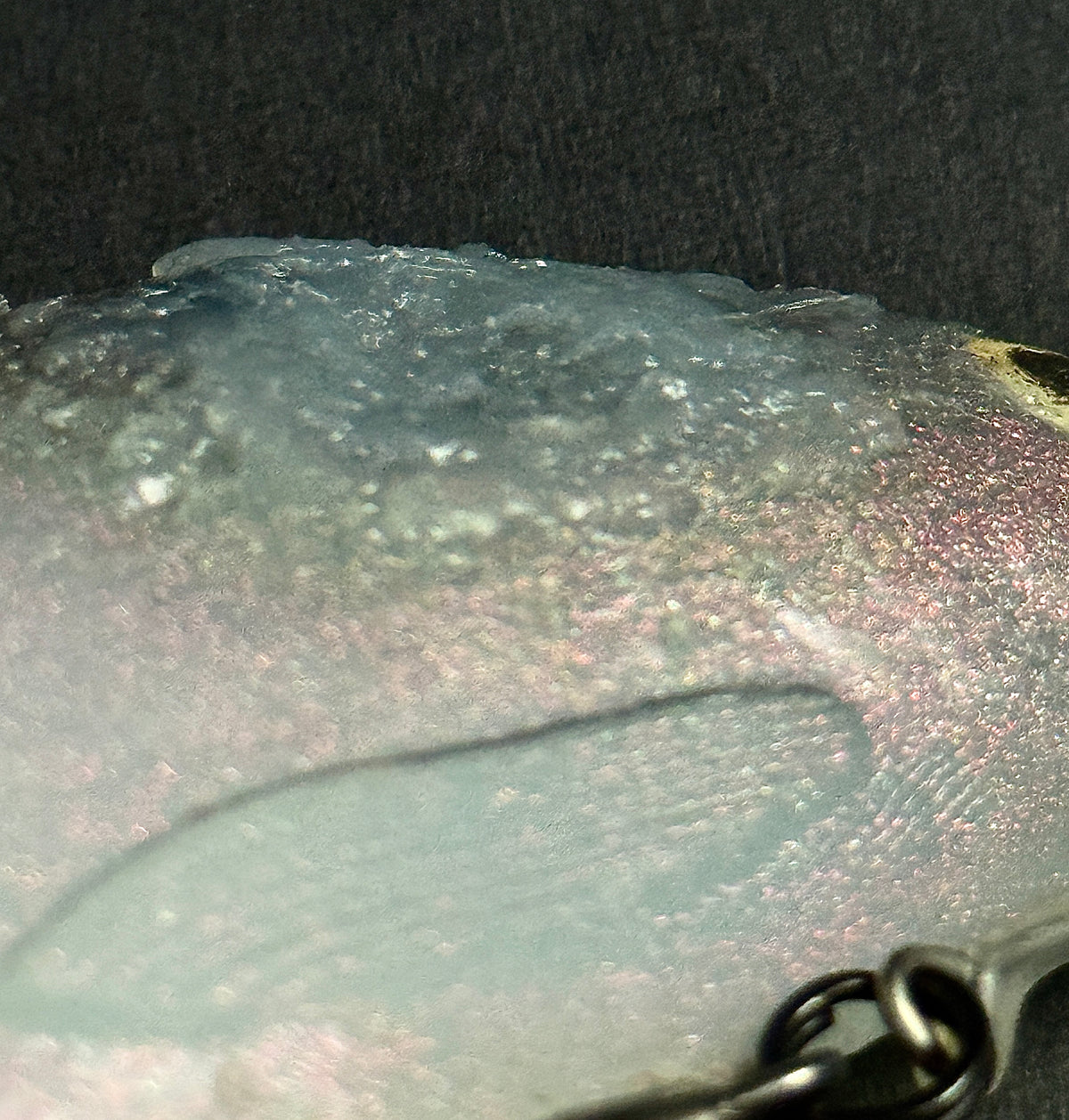 Skinnerbaits Chicken Gizzard Swimbait | 6/0 Beast Hook