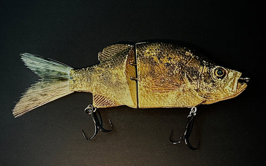 KGB Crappie