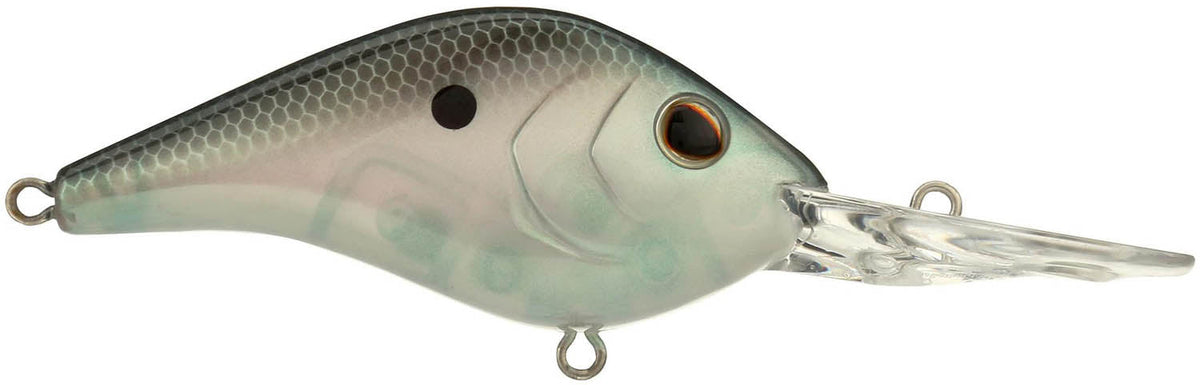 Berkley Dredger 20.5 – Green Shad