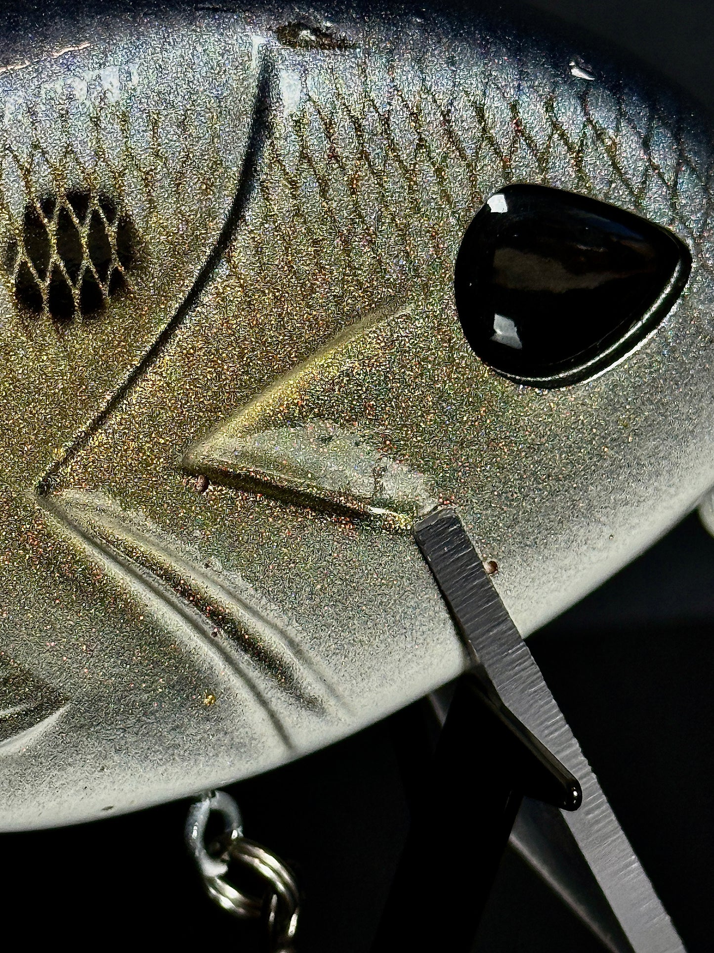 Throwback Wakewalker 6" Topwater Bait - 2oz | Used Condition
