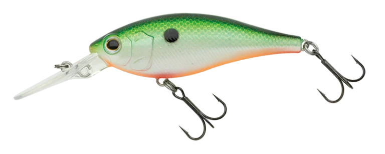 Nories Jetty Shad