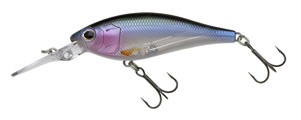 Nories Jetty Shad