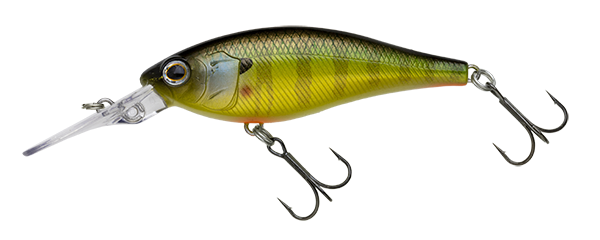 Nories Jetty Shad
