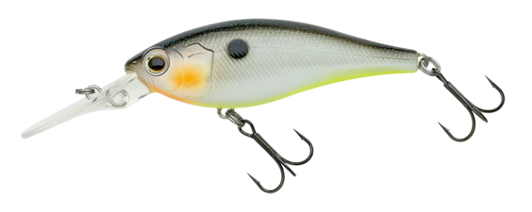 Nories Jetty Shad