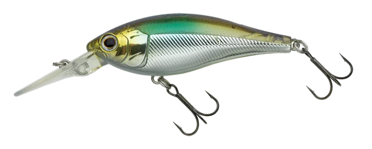 Nories Jetty Shad