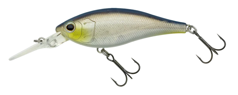 Nories Jetty Shad