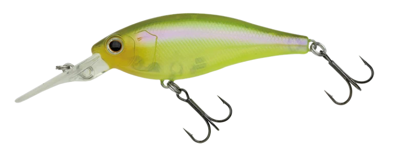 Nories Jetty Shad