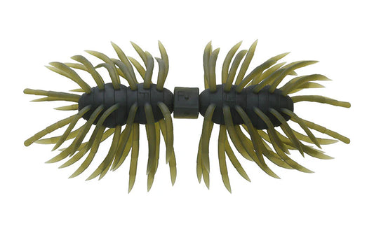 Imakatsu Kujala Hairy Spider