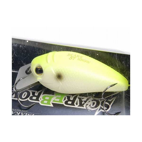 Imakatsu Scare Brow 57 – #259 Matt Lemonade