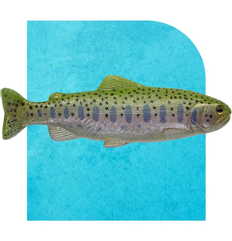Decoy 5 inch Hydra Tail
