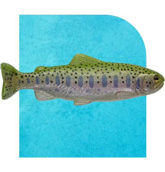 Decoy 5 inch Hydra Tail