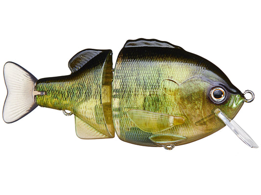 Deps Tiny Bullzone