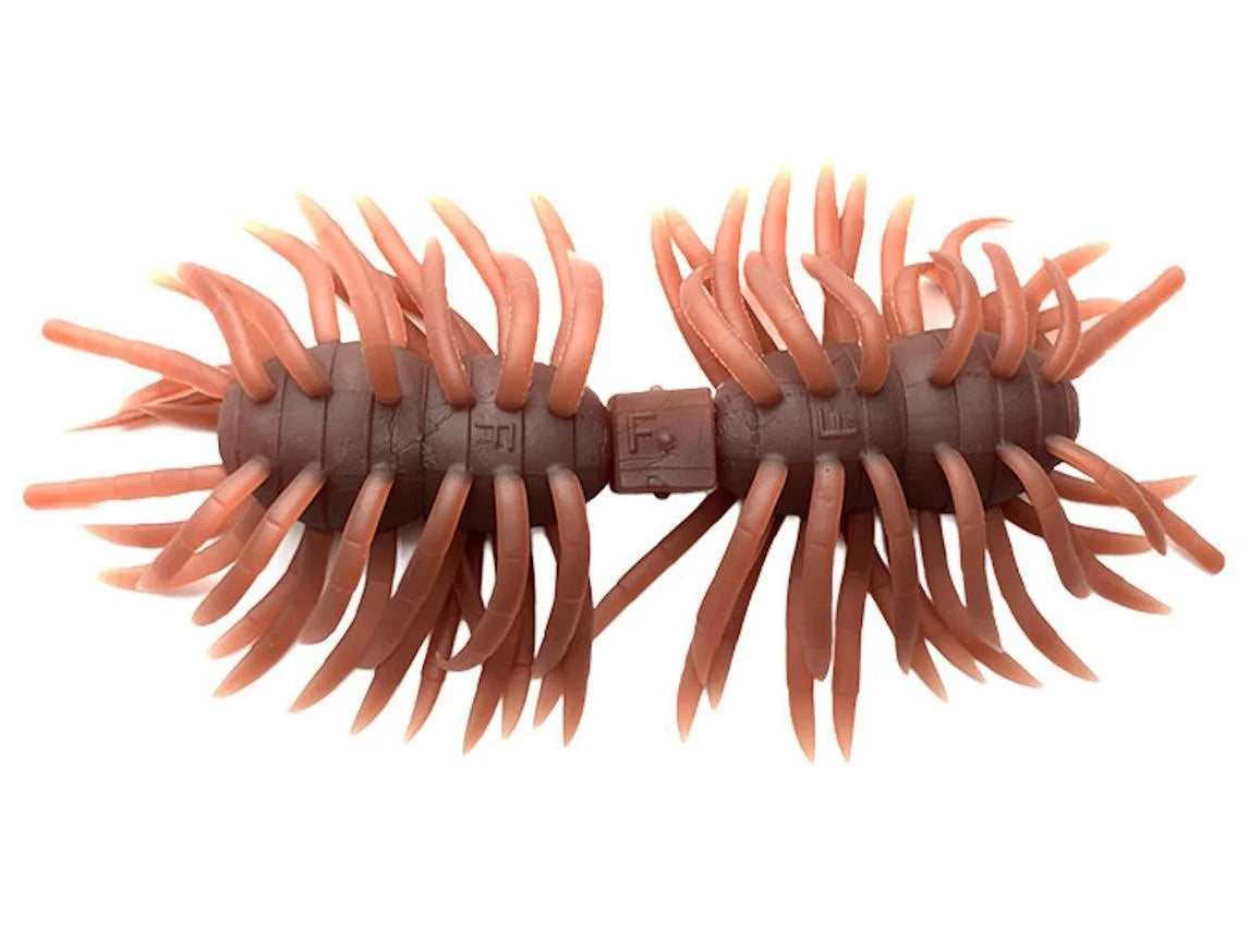 Imakatsu Kujala Hairy Spider