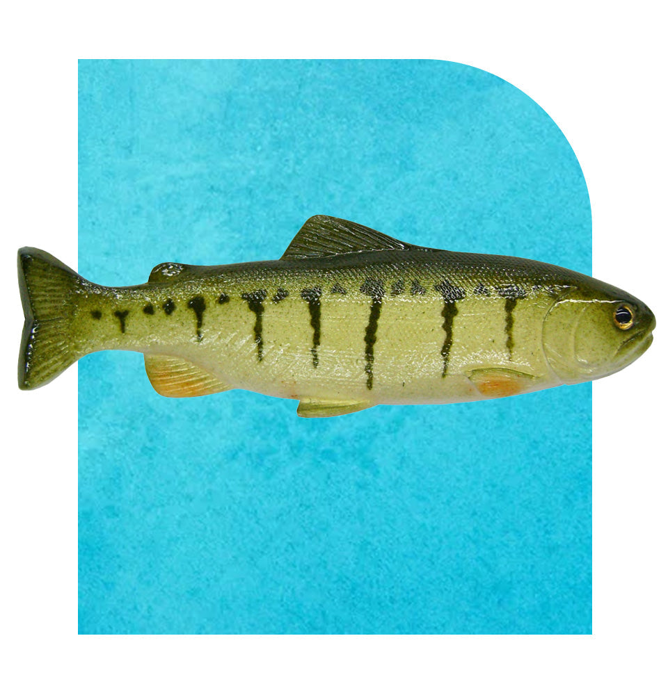 Decoy Swimbaits HydraTail 5" – Yellow Perch